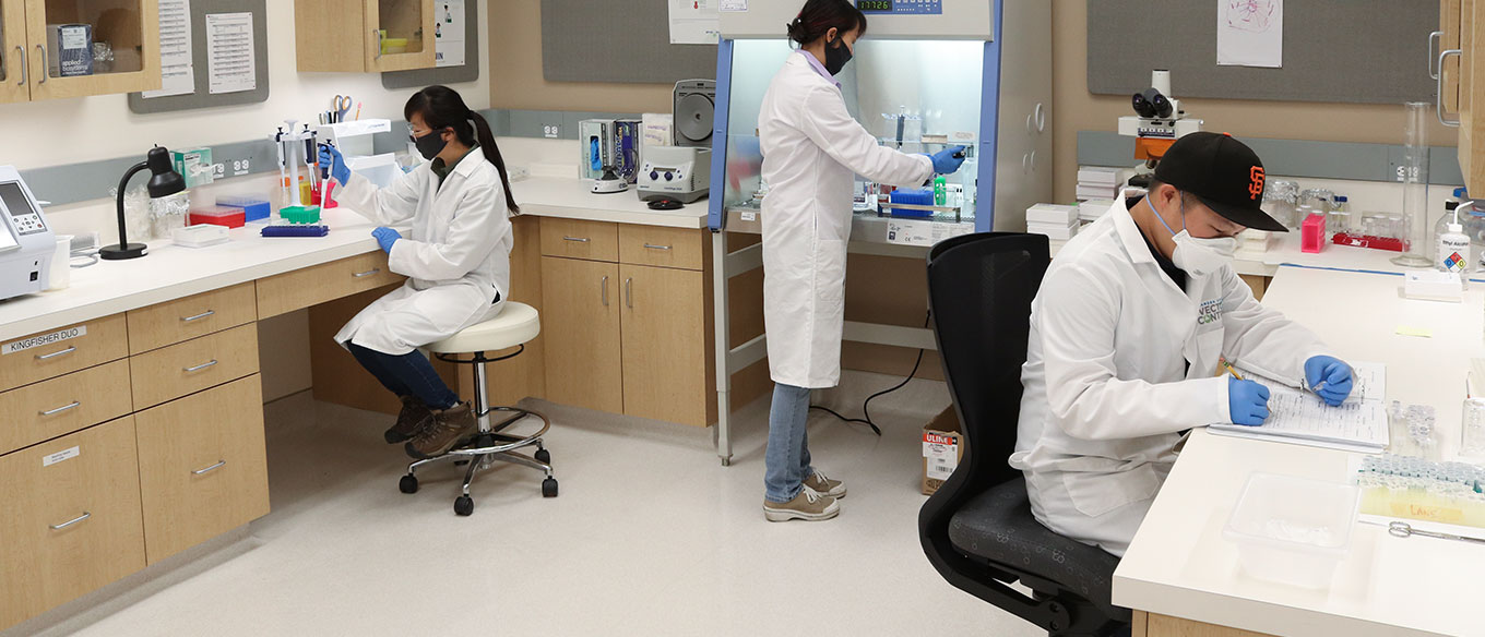 Home - Vector Control Services