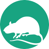 rat icon