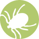 tick icon