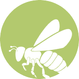 wasp icon